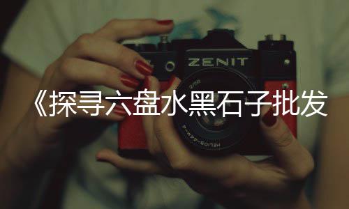 东丽区石子零售、濮阳石子零售电话是多少、东丽石子零售商、新昌石子零售店地址